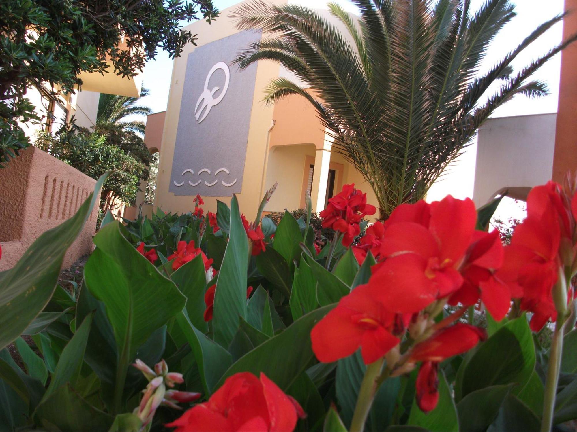 Almyra Apartments & Suites สฟากากิ ภายนอก รูปภาพ